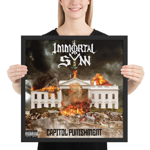 Capitol Punishment framed poster